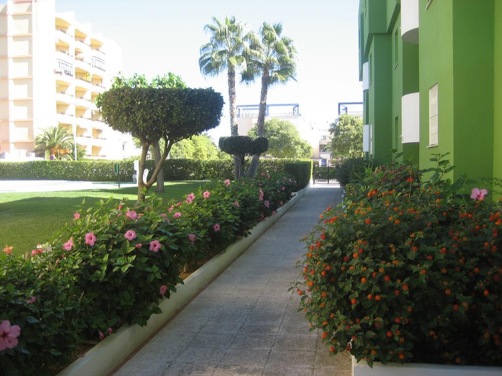 Los Juncos Apartamentos - Solo Familias Oliva Exterior foto